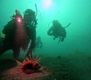 DCIM100GOPROGOPR7381.JPG