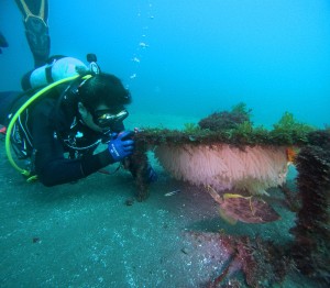 DCIM100GOPROGOPR7386.JPG