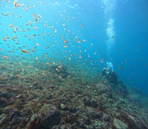 DCIM100GOPROGOPR7400.JPG