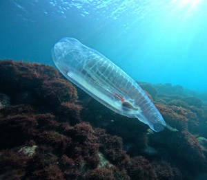 DCIM100GOPROGOPR7412.JPG