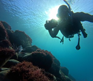 DCIM100GOPROGOPR7415.JPG