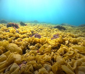 DCIM100GOPROGOPR7417.JPG