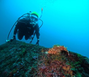 DCIM100GOPROGOPR7438.JPG