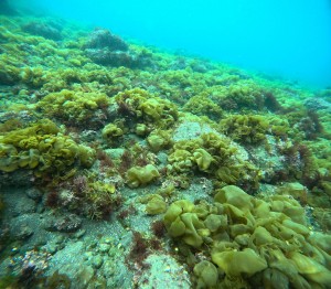DCIM100GOPROGOPR7440.JPG