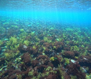 DCIM100GOPROGOPR7580.JPG