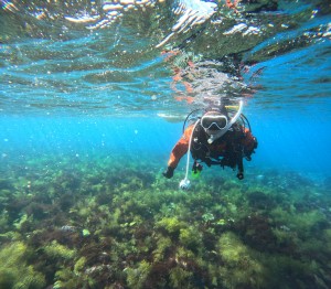 DCIM100GOPROGOPR7582.JPG