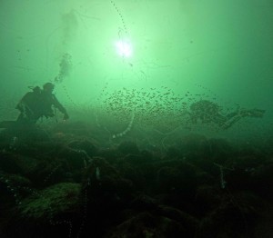 DCIM100GOPROGOPR7594.JPG