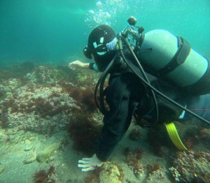 DCIM100GOPROGOPR7610.JPG