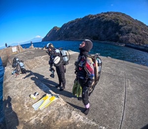 LINE_ALBUM_20260219_260219_1