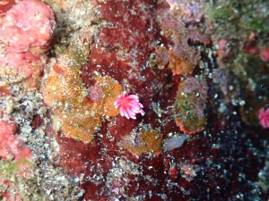 P2050171