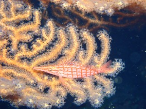 P2070724
