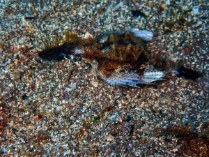 P2100296
