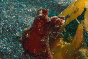 P2150061