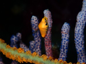 P2260110