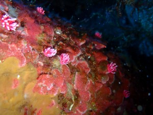 P2260113