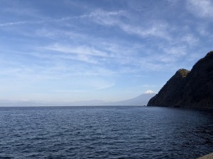 S__268558351