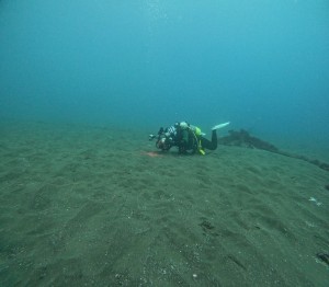 S__385032208