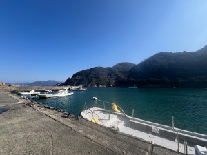 S__386162693_0
