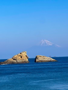 S__386162694_0