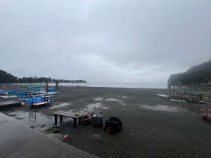 S__389144580_0