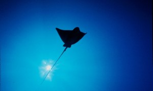 line_oa_chat_260122_161018