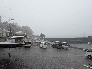 line_oa_chat_260208_191405