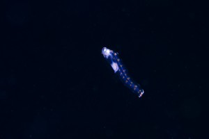 DSC01674