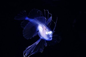 DSC01686