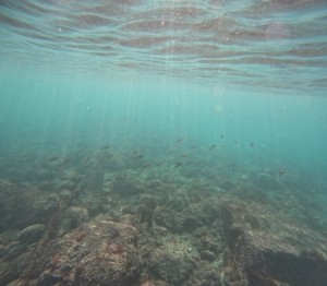 DCIM100GOPROGOPR6245.JPG