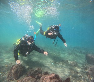 DCIM100GOPROGOPR6276.JPG