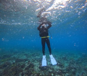 DCIM100GOPROGOPR6363.JPG