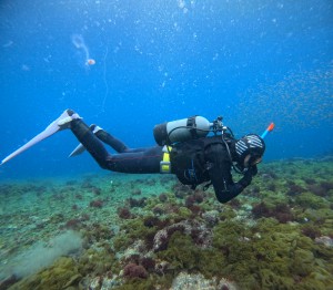 DCIM100GOPROGOPR6368.JPG