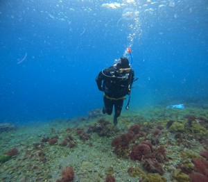 DCIM100GOPROGOPR6372.JPG