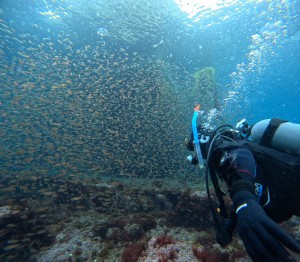DCIM100GOPROGOPR6376.JPG