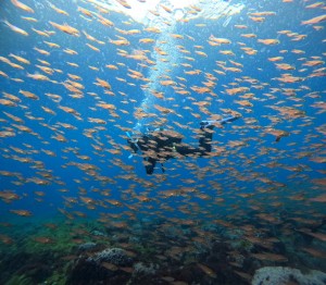 DCIM100GOPROGOPR6384.JPG