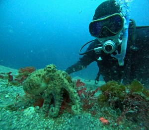 DCIM100GOPROGOPR6393.JPG