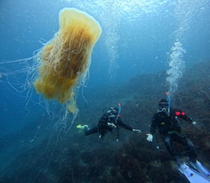 DCIM100GOPROGOPR6445.JPG