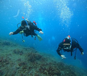 DCIM100GOPROGOPR6447.JPG