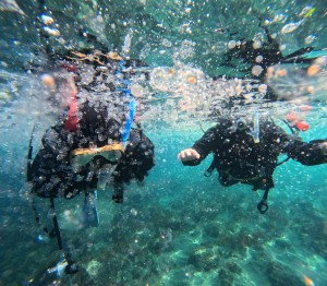 DCIM100GOPROGOPR6466.JPG