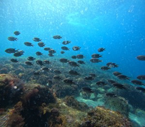 DCIM100GOPROGOPR6469.JPG