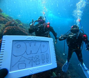 DCIM100GOPROGOPR6475.JPG
