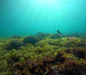 DCIM100GOPROGOPR7638.JPG