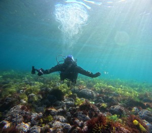 DCIM100GOPROGOPR7641.JPG