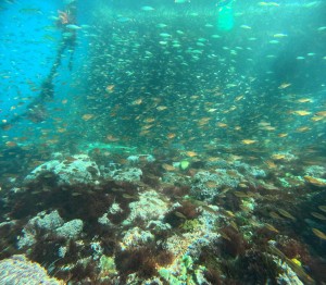 DCIM100GOPROGOPR7645.JPG