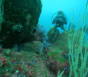 DCIM100GOPROGOPR7768.JPG