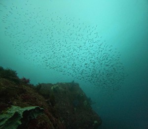 DCIM100GOPROGOPR7770.JPG