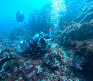 DCIM100GOPROGOPR7838.JPG
