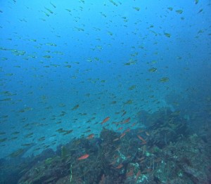 DCIM100GOPROGOPR7862.JPG
