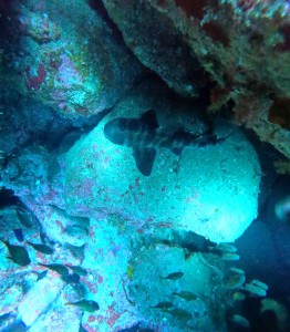 DCIM100GOPROGOPR7874.JPG