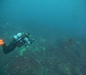 DCIM100GOPROGOPR7912.JPG
